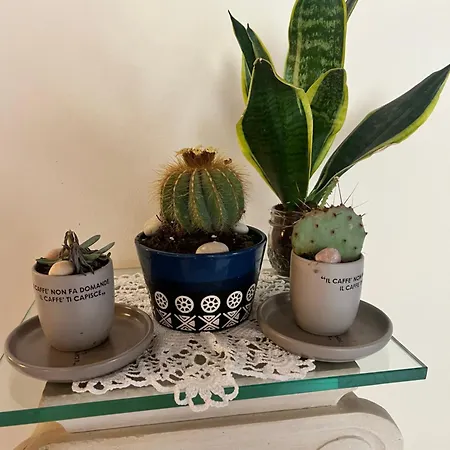 La Casa Di Giada A 3 Minuti Dal Casello Autostradale Di - Parcheggio Privato E Self Check-in 3*