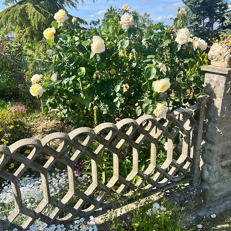 La Casa Di Giada Guest house Imola